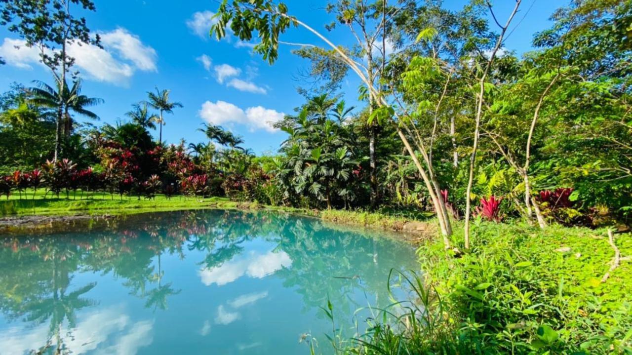 Blue River Resort & Hot Springs Liberia Exterior foto