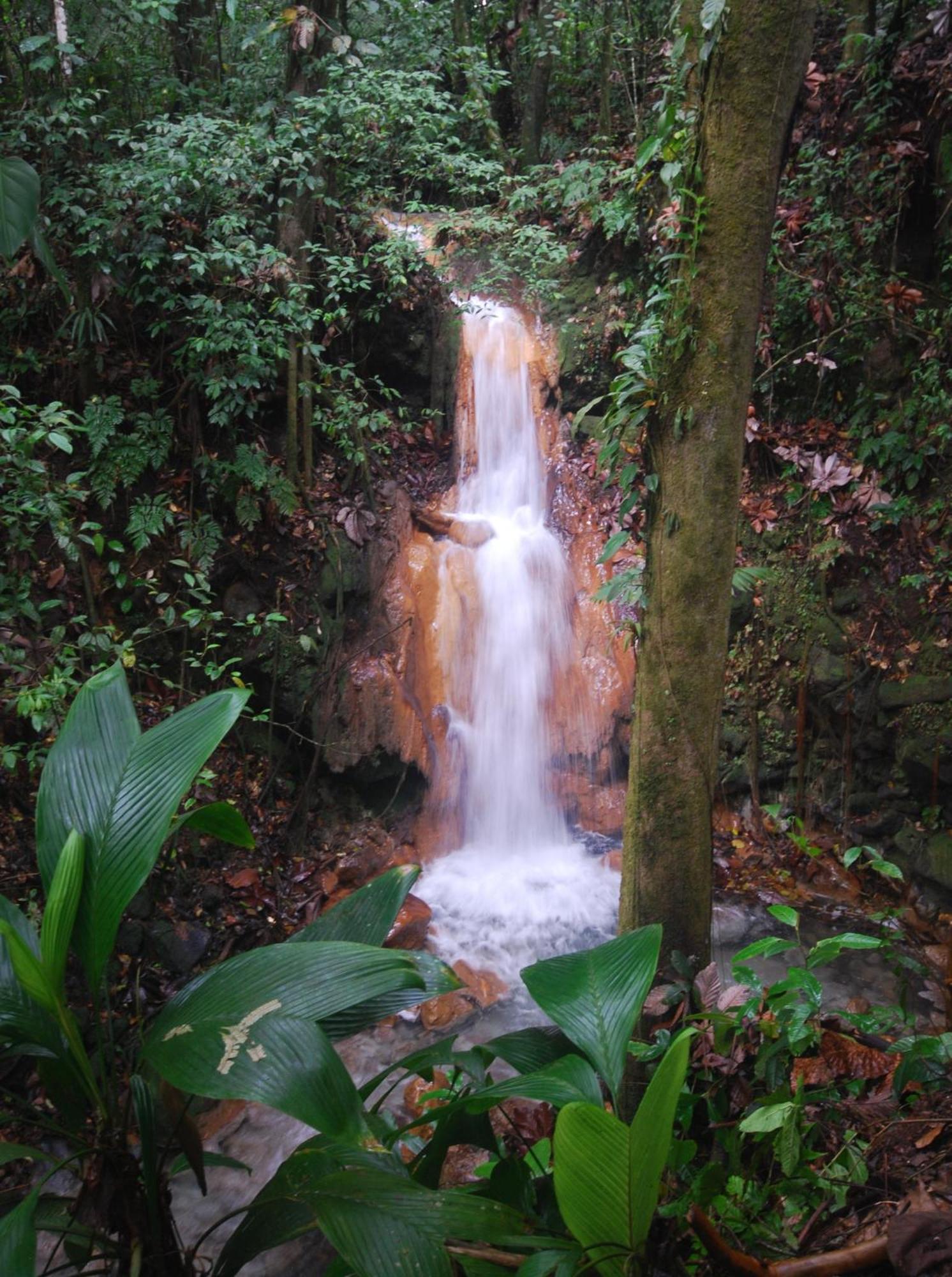 Blue River Resort & Hot Springs Liberia Exterior foto