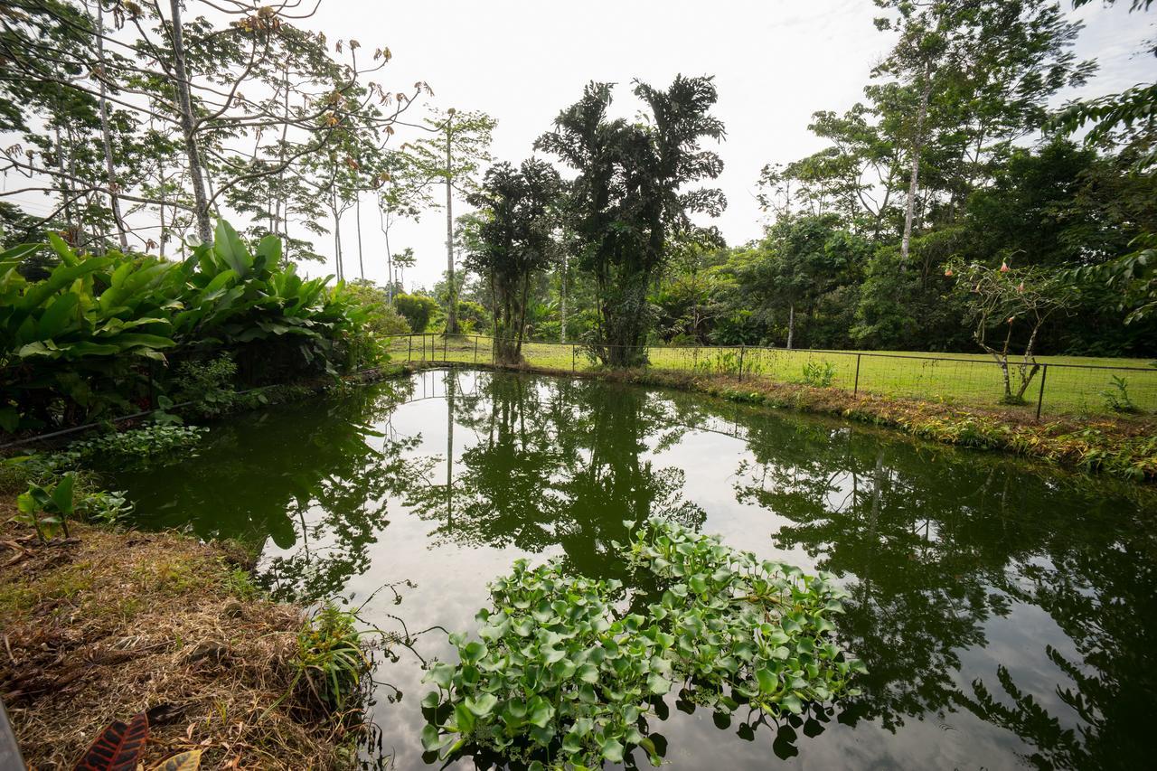 Blue River Resort & Hot Springs Liberia Exterior foto